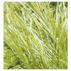 Пряжа для вязания Ализе Decofur Травка (100% полиэстер) 5х100г/100м цв.0117 фисташка Alize