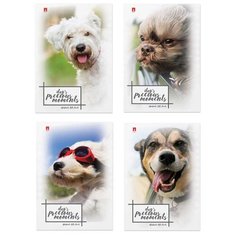 Блокнот А7, 40 л., скоба, ламинированный картон, клетка, Альт, "Щеночки", (4 вида), 3-40-107