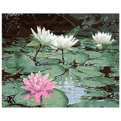 Картина по номерам Живопись по Номерам "Кувшинки на пруду", 40x50 см