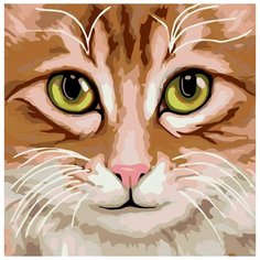 Картина по номерам Живопись по Номерам "Кимрик", 40x40 см