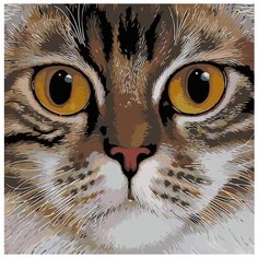 Картина по номерам Живопись по Номерам "Медовые глаза", 40x40 см