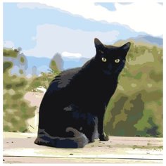 Картина по номерам Живопись по Номерам "Черный кот", 40x40 см