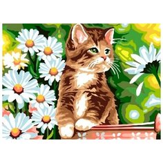 Картина по номерам Paintboy "Котик в ромашках", 30x40 см