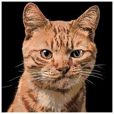 Картина по номерам Живопись по Номерам "Рыжик", 40x40 см