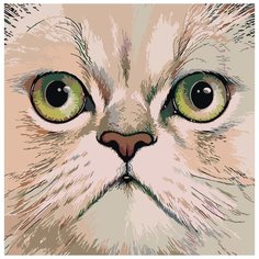 Картина по номерам Живопись по Номерам "Британская короткошерстная", 40x40 см