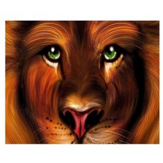 Картина по номерам 40х50 - Львиный взгляд RDG-2911 Raduga
