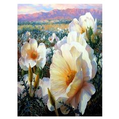 Картина по номерам 40х50 см, "Белые цветы", GX21389 Paintboy
