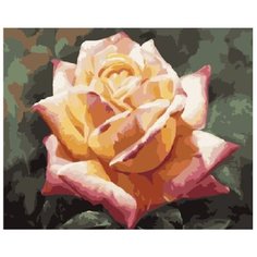 Картина по номерам на холсте 40*50 см Raduga "Роза" (GX-7301)
