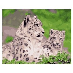 Картина по номерам 40х50 - RDG-2183 Raduga