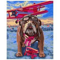 Картина по номерам "Летчик", 40x50 см Русская Живопись