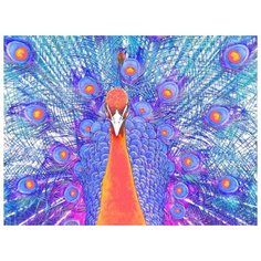 Картина по номерам Color Kit "Павлин", 30x40 см