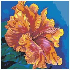 Картина по номерам «Яркий цвет», 40x40 см, Живопись по Номерам