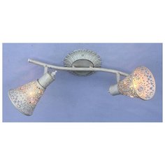 Спот Favourite Arabian Drim 1796-2U