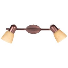 Спот Toplight Maxine TL1235Y-02AB