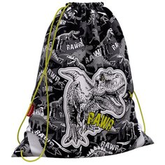 Мешок для обуви ErichKrause 365x440мм Dinosaur Park
