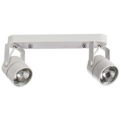 Спот Arte Lamp Lente A1310PL-2WH