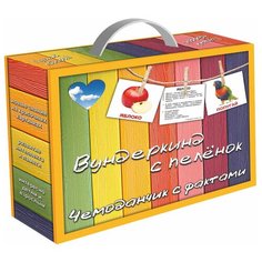 Набор карточек Вундеркинд с пелёнок Чемоданчик с фактами. Вундеркинд с пеленок 10x8 см 480 шт.