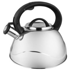 Webber Чайник со свистком BE-0524 3 л, стальной
