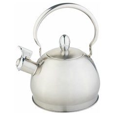 Webber Чайник ВЕ-0560 2 л, стальной