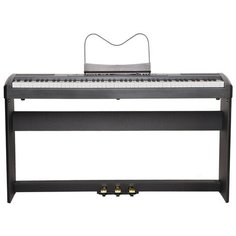 Цифровое пианино Ringway RP35 черный