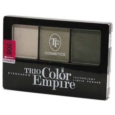 TF Cosmetics Палетка теней Trio Color Empire 308 оливковое золото