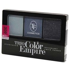 TF Cosmetics Палетка теней Trio Color Empire 309 морской бриз