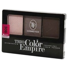 TF Cosmetics Палетка теней Trio Color Empire 306 лесной орех