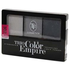 TF Cosmetics Палетка теней Trio Color Empire 302 графит