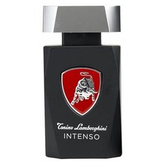 Туалетная вода Tonino Lamborghini Intenso, 125 мл