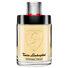 Туалетная вода Tonino Lamborghini Invincibile, 75 мл