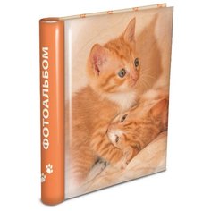 Фотоальбом Veld co 64477 30 "магнитных"листов 23X28см Puppies and kittens