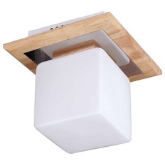 Люстра Lucia Tucci NATURA 084.1