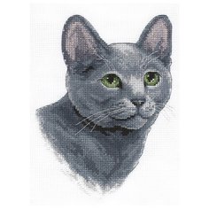 Набор для вышивания крестиком PANNA Русская голубая кошка (J-1815)