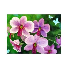 Алмазная мозаика "Прекрасные орхидеи" 17х22 см (AS17014) Рыжий кот