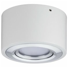 Спот Paulmann Argun 79708