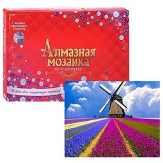 Алмазная мозаика Рыжий кот 30*40 см, "Голландский пейзаж", с подрамником (ST945)