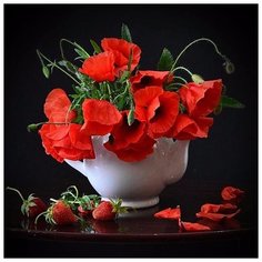 Алмазная мозаика Molly Алые маки, 30*30 см (KM0269)