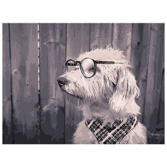 Картина по номерам Фрея 40*30 см, "Хозяин! Я жду" (PNB/C3 №12)