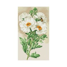 Кристальная мозаика Фрея "Белая ромнея", 35*60 см (ALV-2 01)