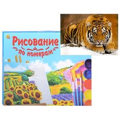 Картина по номерам Рыжий кот Холст с красками, 22*30 см, Амурский тигр (HS208)