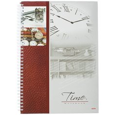 Бизнес-тетрадь Проф-пресс 120 листов, клетка, А4, Время-Деньги, гребень