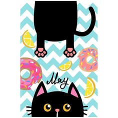 Картина по номерам Фрея (на картоне), 20*30 см, №17 Кто сказал Мяу? (PKZ-1)