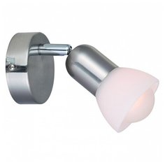 Спот Arte Lamp Falena A3115AP-1SS