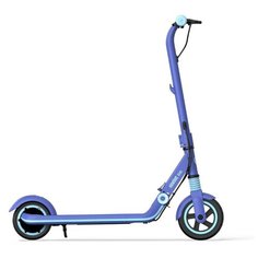 Электросамокат Ninebot eKickScooter Zing E8 (blue)