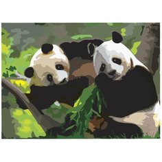 Остров сокровищ картина по номерам Панды 29х39.5 см (661621)