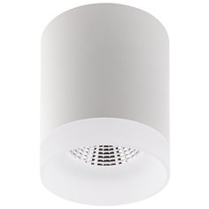 Спот DENKIRS DK4010-WH