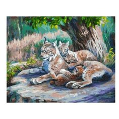 Белоснежка картина по номерам "Материнская невозмутимость" 40х50 см (280-AB)