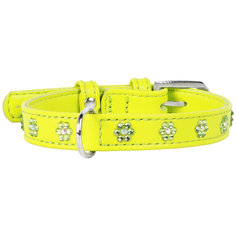 Ошейник COLLAR Glamour Цветочек 3251 18-21 см лайм