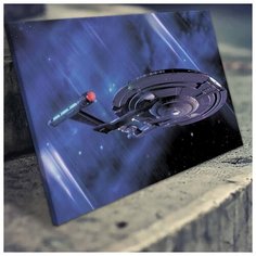 Картина Энтерпрайс 40х60 см. синтетический холст RED Panda