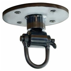 Крепление для пневмогруши Everlast Professional